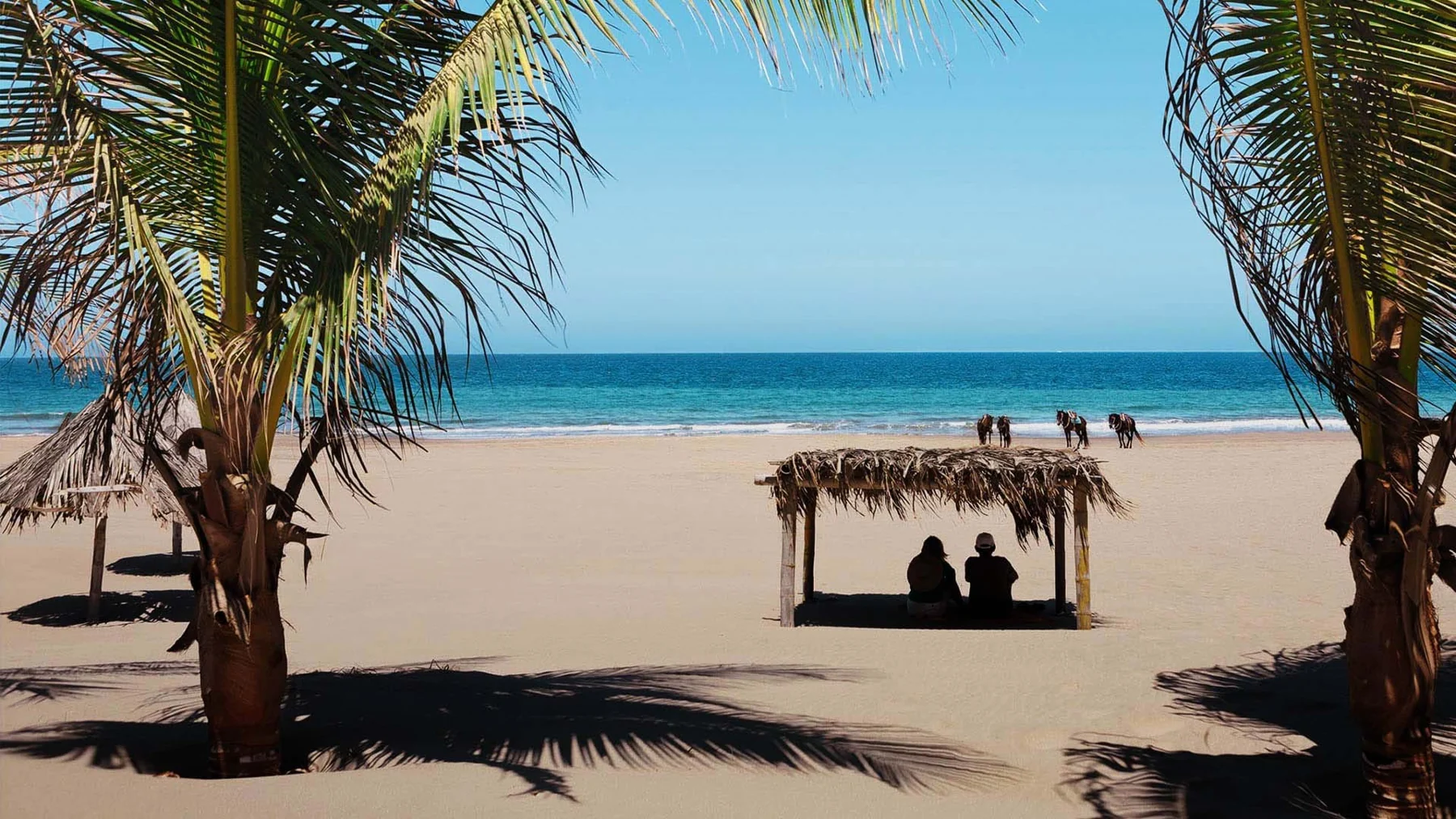 Arena, palmeras y el mar de Vichayito, en la costa norte del Perú